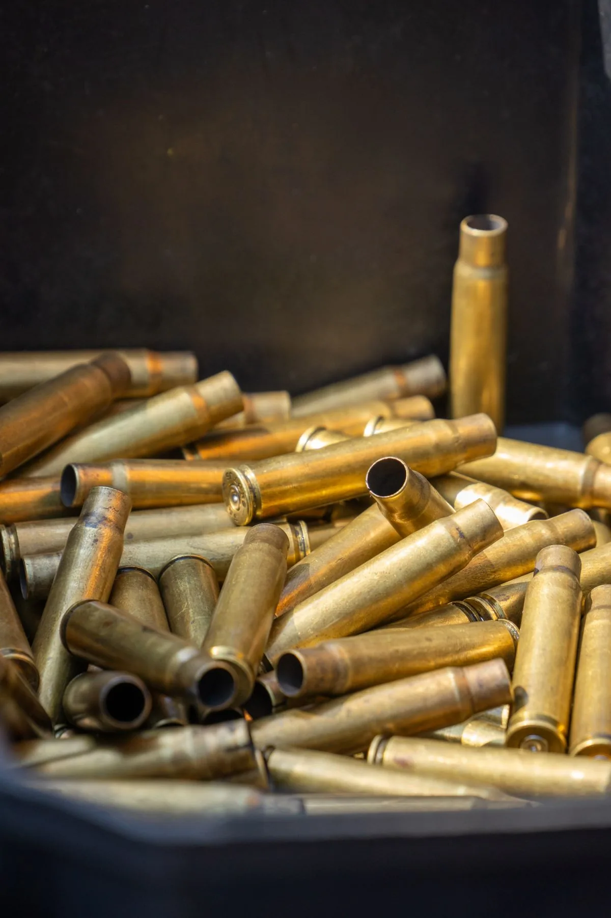 Brass prep for accuracy: clean rifle brass cases in a bin ready for case preparation