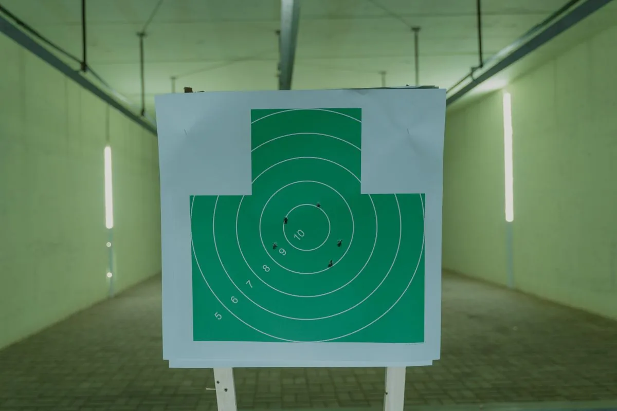 How to read a target group: a shooting target showing a cluster of bullet holes to interpret